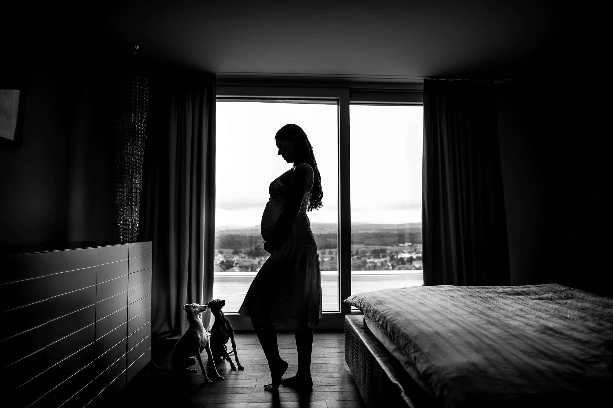 Export x3 1DX26131 Fotoshooting 2020 Zito 4